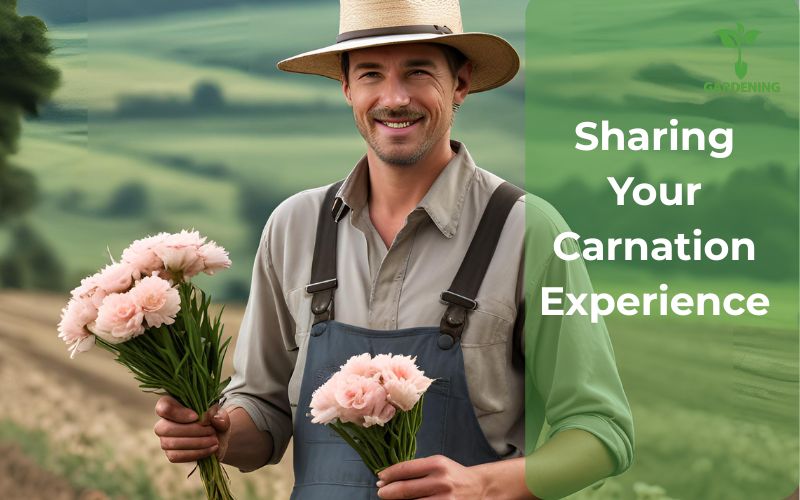 Sharing Your Carnation Experience