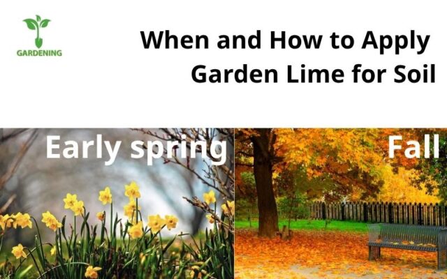 When and How to Apply Garden Lime for Soil